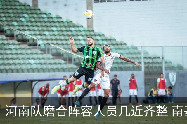 河南队磨合阵容人员几近齐整 南基一剑指中超前六